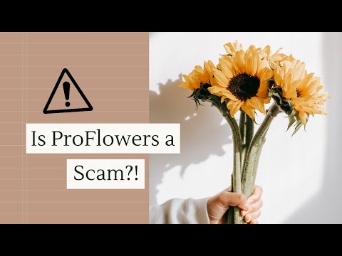 image-How do ProFlowers arrive?