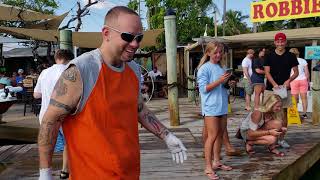 Feeding the tarpon st Robbies in Islamorada