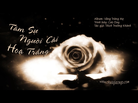 Tâm sự người cài hoa trắng - Cao Duy