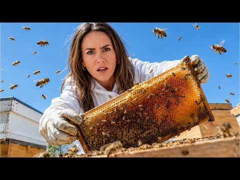 Inside America's Rarest Honey (From A Swamp?)