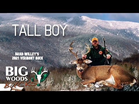 TALL BOY | Brad Willey's 2021 VERMONT BIG WOODS BUCK