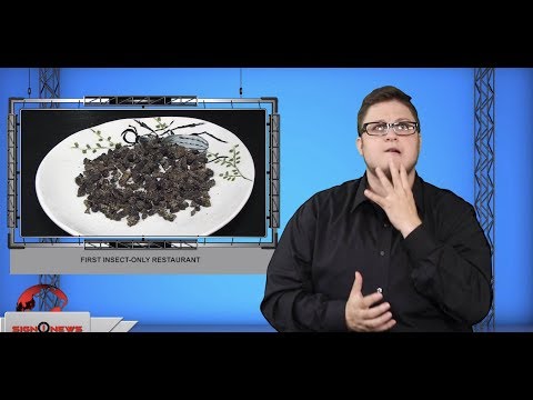 First insect-only restaurant (ASL - 7.27.19)