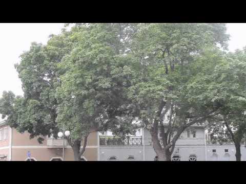 Hudiksvall, Sweden. Summer 2012