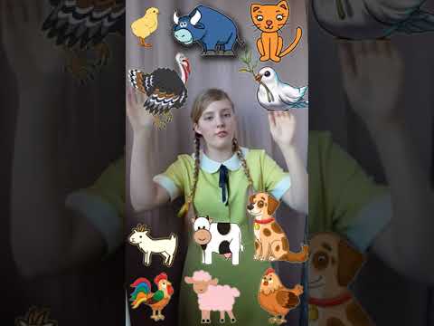 im radio ist ein küken - веселая немецкая песенка!