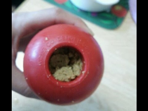 コングを長持ちさせる方法 正しい入れ方とオススメ食材 犬のq A集 Dogoo Com