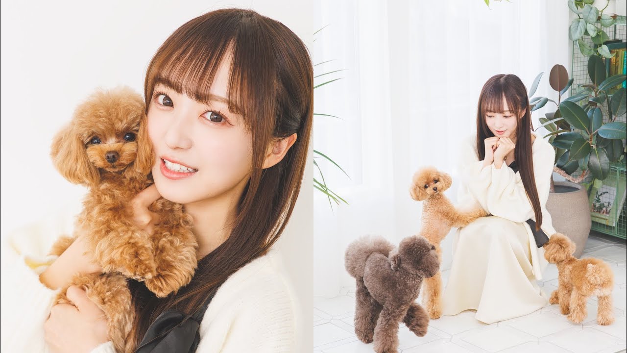 【ラフ×ラフ】日比野芽奈さんが愛犬３匹を連れて遊びにきてくれました！（月刊わんこ撮影オフショット）