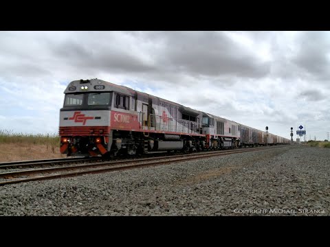 SCT 2PM9 Freight Train With Locomotives SCT002 & CSR014 (3/12/2021) - PoathTV Australian Railways