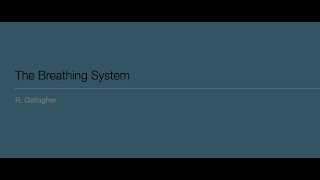 The Breathing system