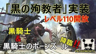 #ddon【ドラゴンズドグマオンライン】強かったら～もちろん逃げます!!【PAPALEMONTV】