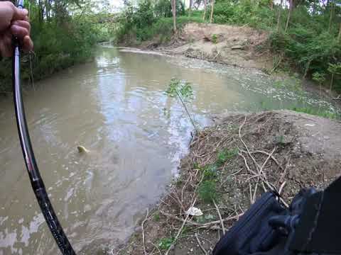 La cascata delle meraviglie. Spinning catfish!