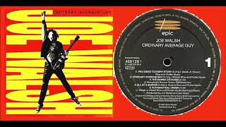 Joe Walsh - Ordinary Average Guy &#39;Vinyl&#39;