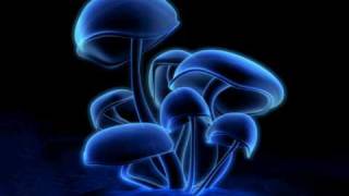 Infected mushroom Blink -(with lyrics!!!)