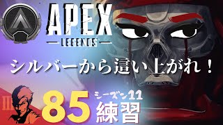 ８５日目/シルバーリーグから這い上がれ！【Apex Legends-シーズン11-】のぶぽん