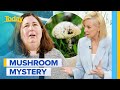 Under Investigation Takes Deep Dive Into Mushroom Poisoning Deaths Tonight Today Show Australia