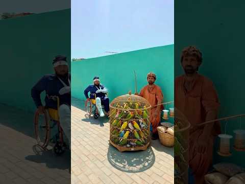 garib ka nuqsan kar dia 🙀 😢 😢