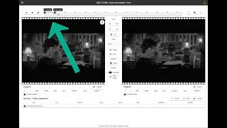 Navigation and Shortcuts in the ANU CVML Video Annotation Tool