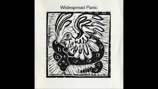 Widespread Panic - Love Tractor  432Hz  HD  (lyrics in description)