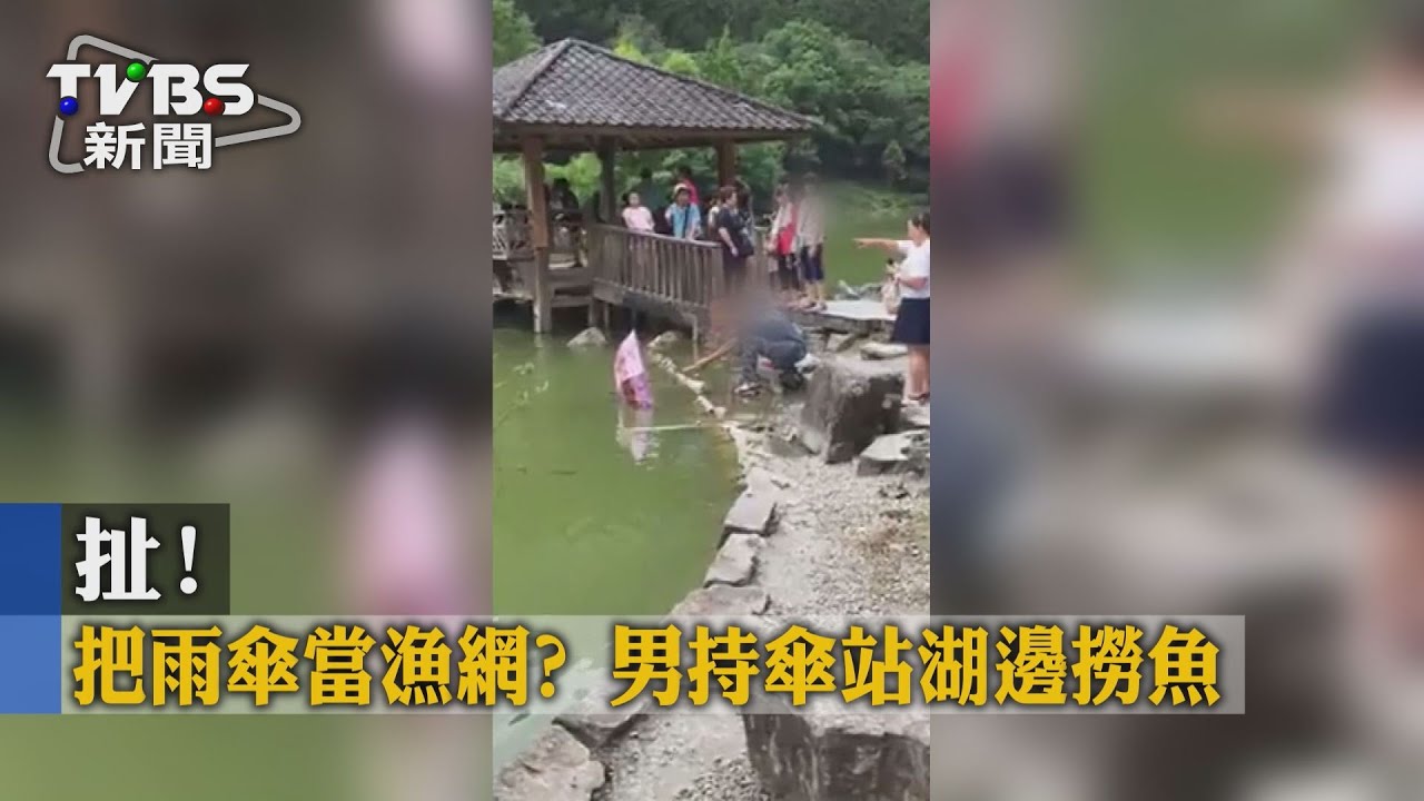 扯!把雨傘當漁網 男持傘站湖邊撈魚