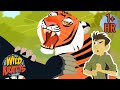Creature Combat Sloth Bear Vs Tiger Wild Kratts
