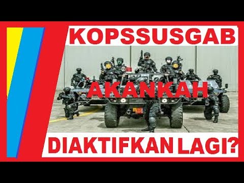 Bagaimana memperlakukan laki-laki potensi madu Torus Hammer tanah