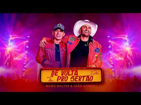 Mano Walter e João Gomes - De Volta Pro Sertão ( Música Nova )