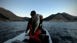 Lopez Lake Bass fishing 10/29/2021