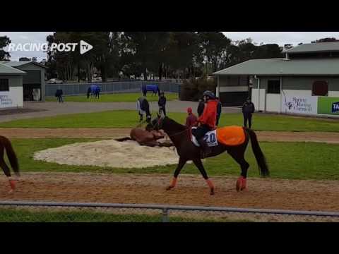 Emirates Melbourne Cup 2016: Big Orange