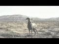 This River Is Wild - The Killers (traducida) 