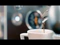 Kamat - Der Kaffeespezialist