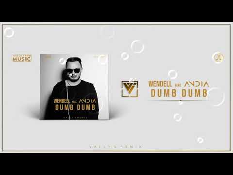 Wendell feat. Andia - Dumb Dumb (Vally V. Remix)