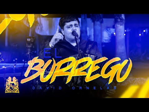 David Ornelas - El Borrego [En Vivo]