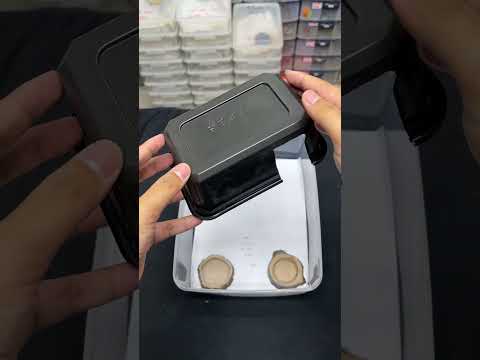 Setting Kandang Gecko Murah