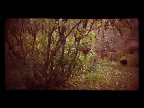Moonlight Sonata in the Autumn garden