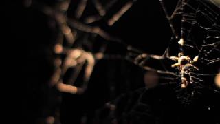 How To Destroy Angels-The Believers