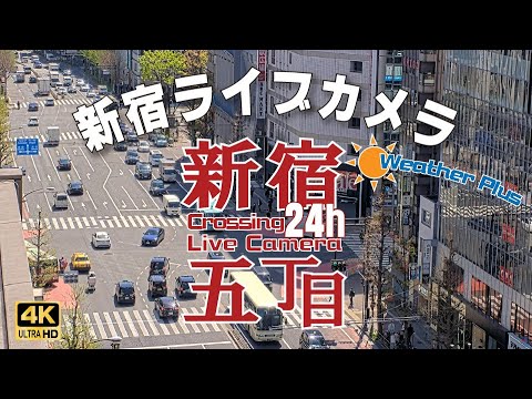 Shinjuku Kabukicho, Tokyo 東京 新宿 五丁目 交差点 ライブカメラ
