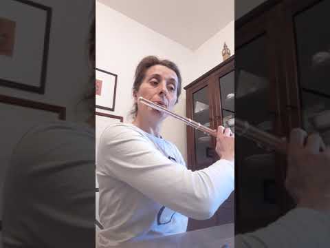 Kohler op 33 vol 1 studio n 3, angela citterio