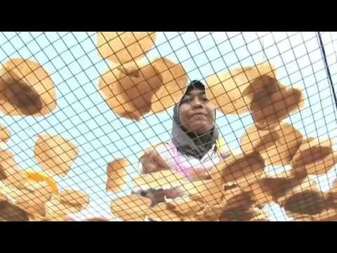 Tour guide Johor Video