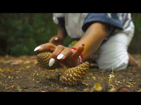 FELEY - Rapbrina / Cut´s Dj Mel (Prod. Cruz Canalez / Sanlee)