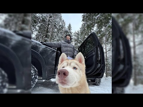 [FREE] BUSHIDO ZHO x ALBLAK 52 - GOTH MONEY Type Beat 2023