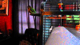 Jasmin singing to "Skinny Puppy's Salvo"