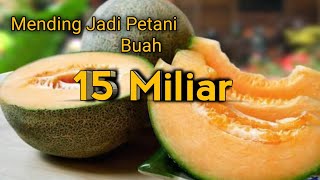 Download lagu 15 Miliar !!  Inilah Daftar Buah Termahal Di Dunia Cuman Sultan Yang Berani Beli mp3