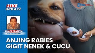 Anjing yang Serang Nenek dan Cucu di Jembrana Bali Positif Rabies, Total 41 Kasus di Gumi Makepung