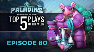 Flight of the Paladin video thumbnail