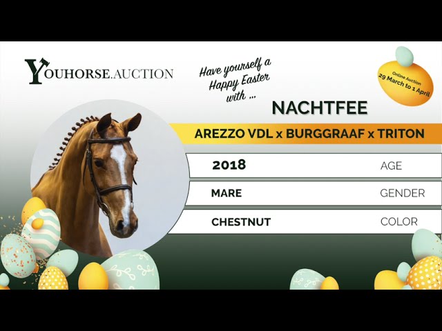 Nachtfee trainingsvideo