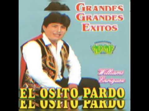 Osito Pardo Mis Amores   vol 2 exito de oro