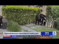 Neighborhood In Hancock Park Constantly Targeted By Burglars