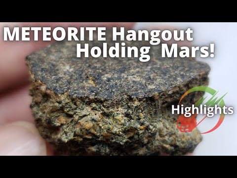 Holding Mars! You can Own the Universe: Meteorite Hangout of Collectors (Highlights)