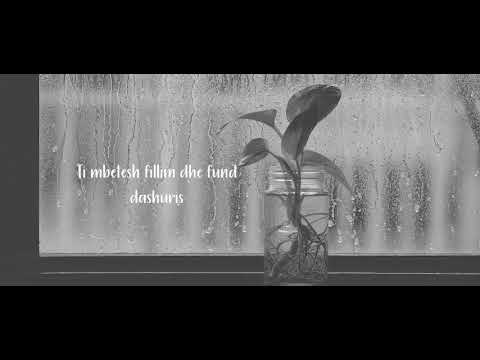 Orgito Dapa ft. Reni Halili - Kam nje jet me ty (OfficialAudio)