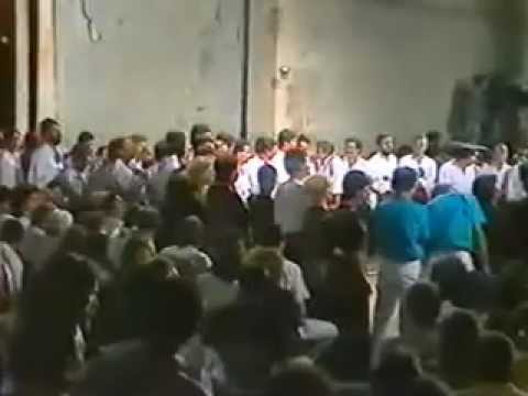 Jute san se zajubija - Sve klape zajedno - FDK 1988