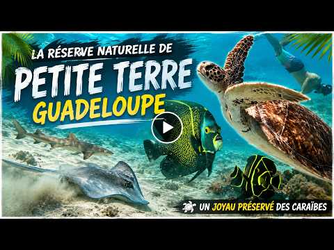 Petite Terre GUADELOUPE 2023
